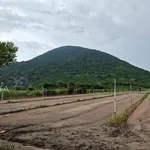 Bán đất trồng cây 600m² Tây Ninh, Phường Bình Minh - Ảnh thu nhỏ 5