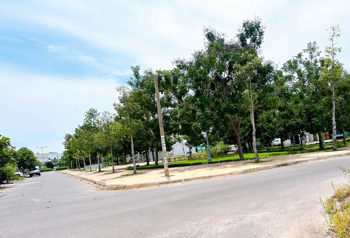 Bán lô góc 180m2 mặt tiền kinh doanh Phan Thiết - Ảnh thu nhỏ 5