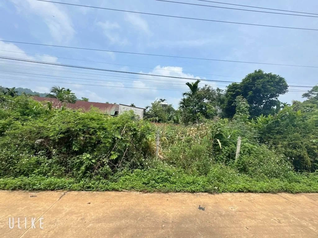 Bán đất thổ cư 60m² Cư Kuin Đắk Lắk 500 triệu - Ảnh thu nhỏ 4