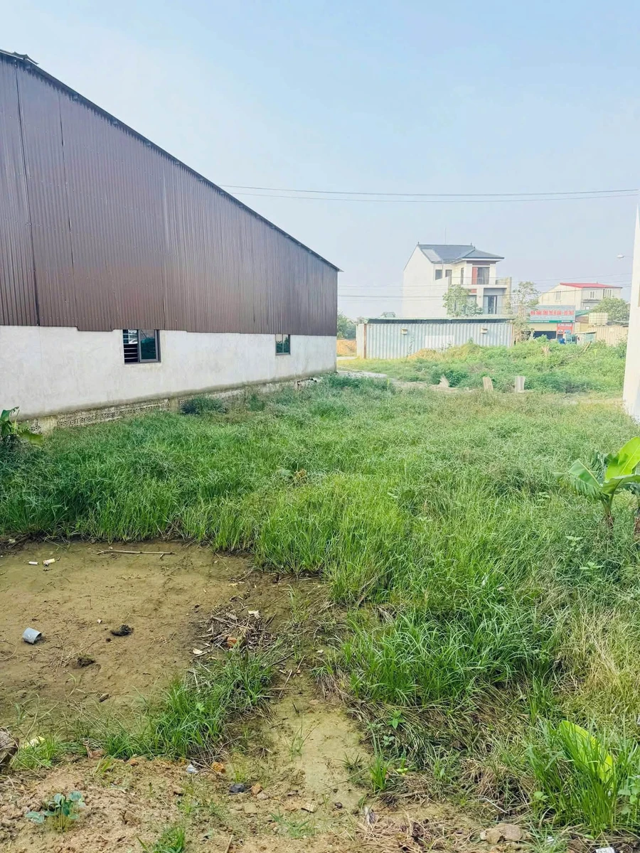 Bán lô đất 100,6m² 2 mặt tiền Vinh Lộc, Nghệ An - Ảnh thu nhỏ 3