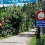 Bán nền thổ cư 158m2 mặt tiền Giồng Trôm, Bến Tre 395 triệu - Ảnh thu nhỏ 3