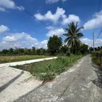Bán đất thổ Châu Thành Long An 145m2 355 triệu - Ảnh thu nhỏ 3