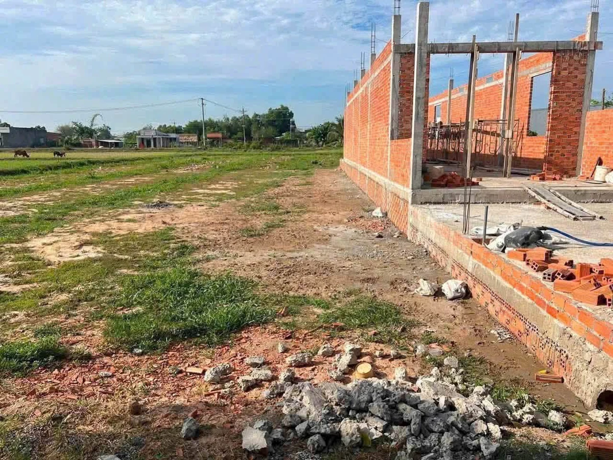 Bán đất thổ cư 175m² Hoà Khánh Đông, Đức Hoà - Ảnh thu nhỏ 2