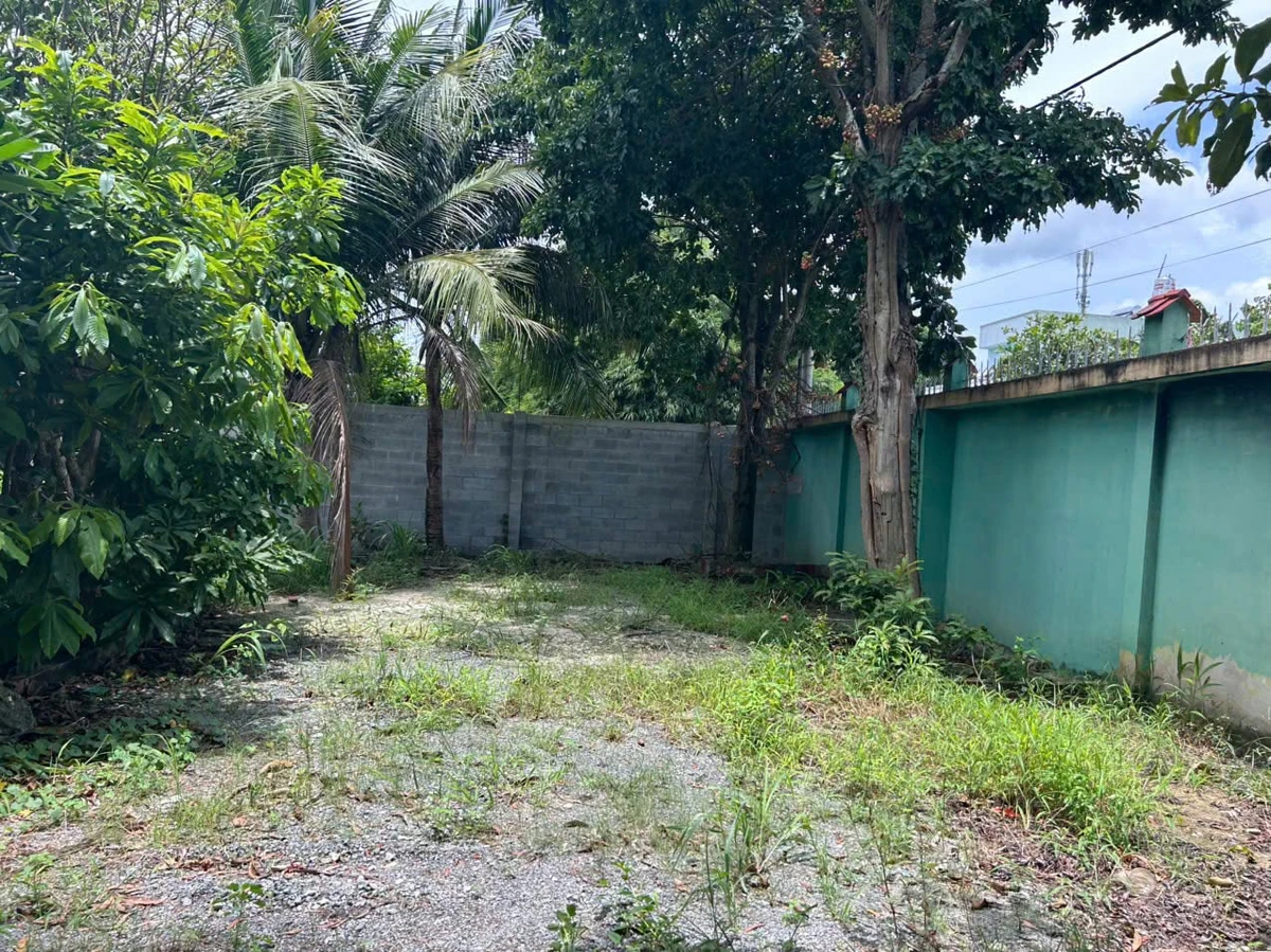 Bán xưởng 4000m2 Tân Phú Trung Củ Chi 72 tỷ - Ảnh thu nhỏ 4
