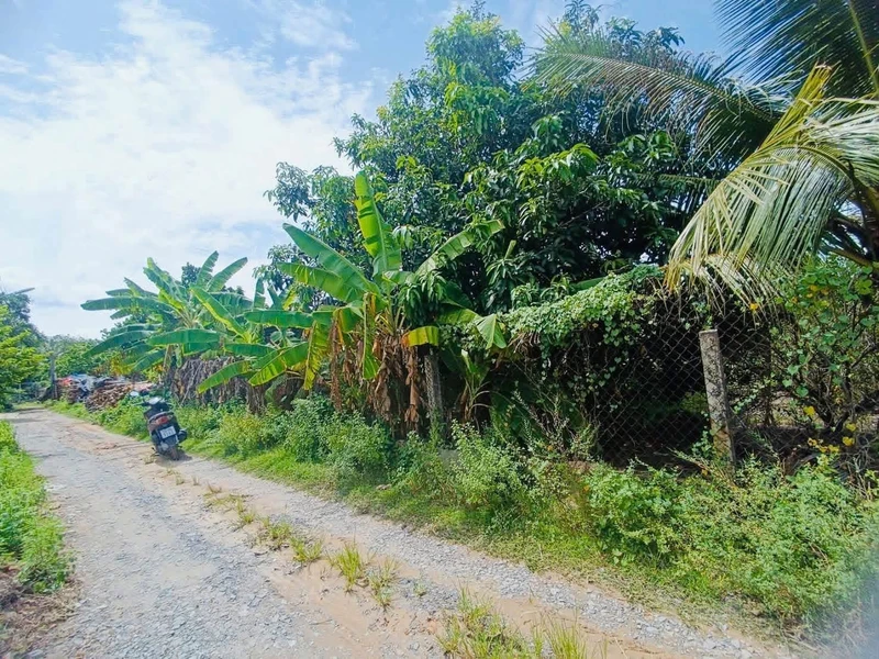 Bán đất thổ cư 50m² Tây Ninh 299 triệu