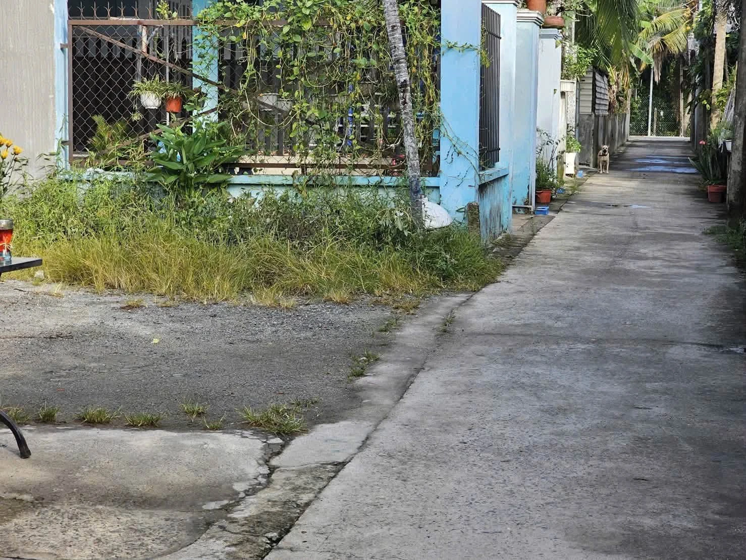 Bán đất An Sơn 14, 233 m2, 2 tỷ 350 - Ảnh 1