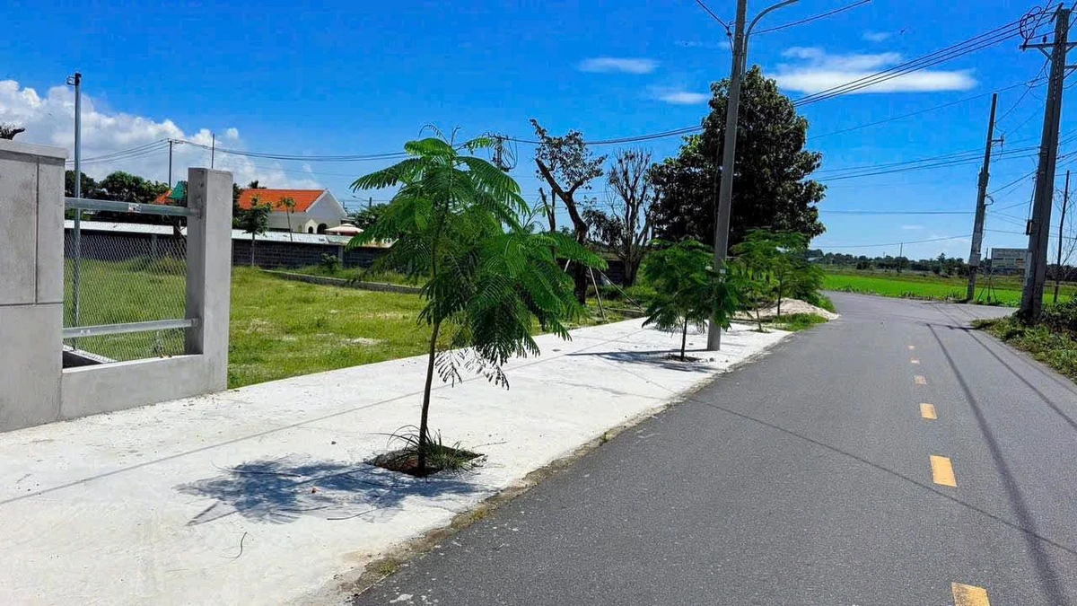 Bán đất 186.2m2 Phước Hải, gần biển, Nhà Bè - Ảnh thu nhỏ 3