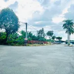 Cho thuê đất 2.200m2 mặt tiền Đường Đôi, Cần Thơ - Ảnh thu nhỏ 2