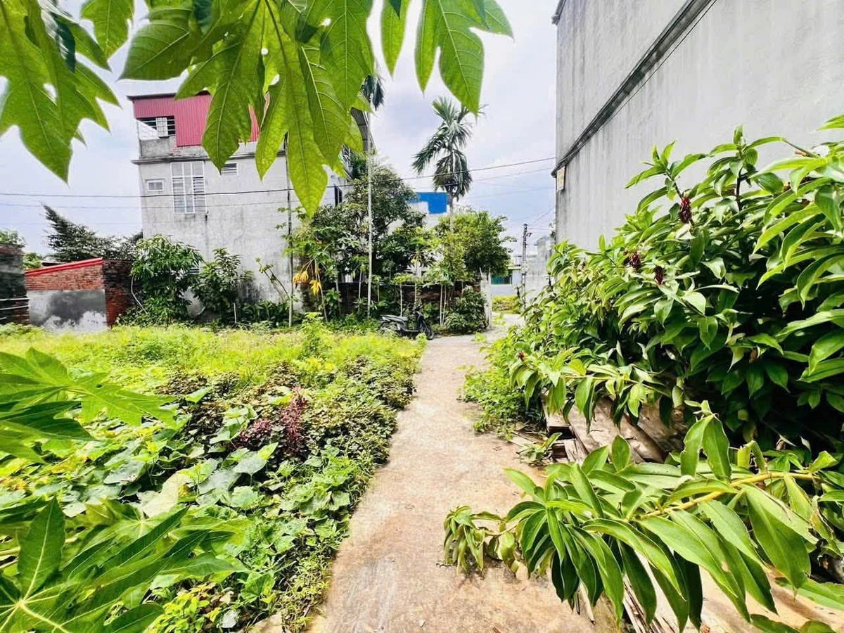 Bán lô đất 52m2 Phương Lung, Hải Phòng, giá 1,2 tỷ - Ảnh thu nhỏ 4