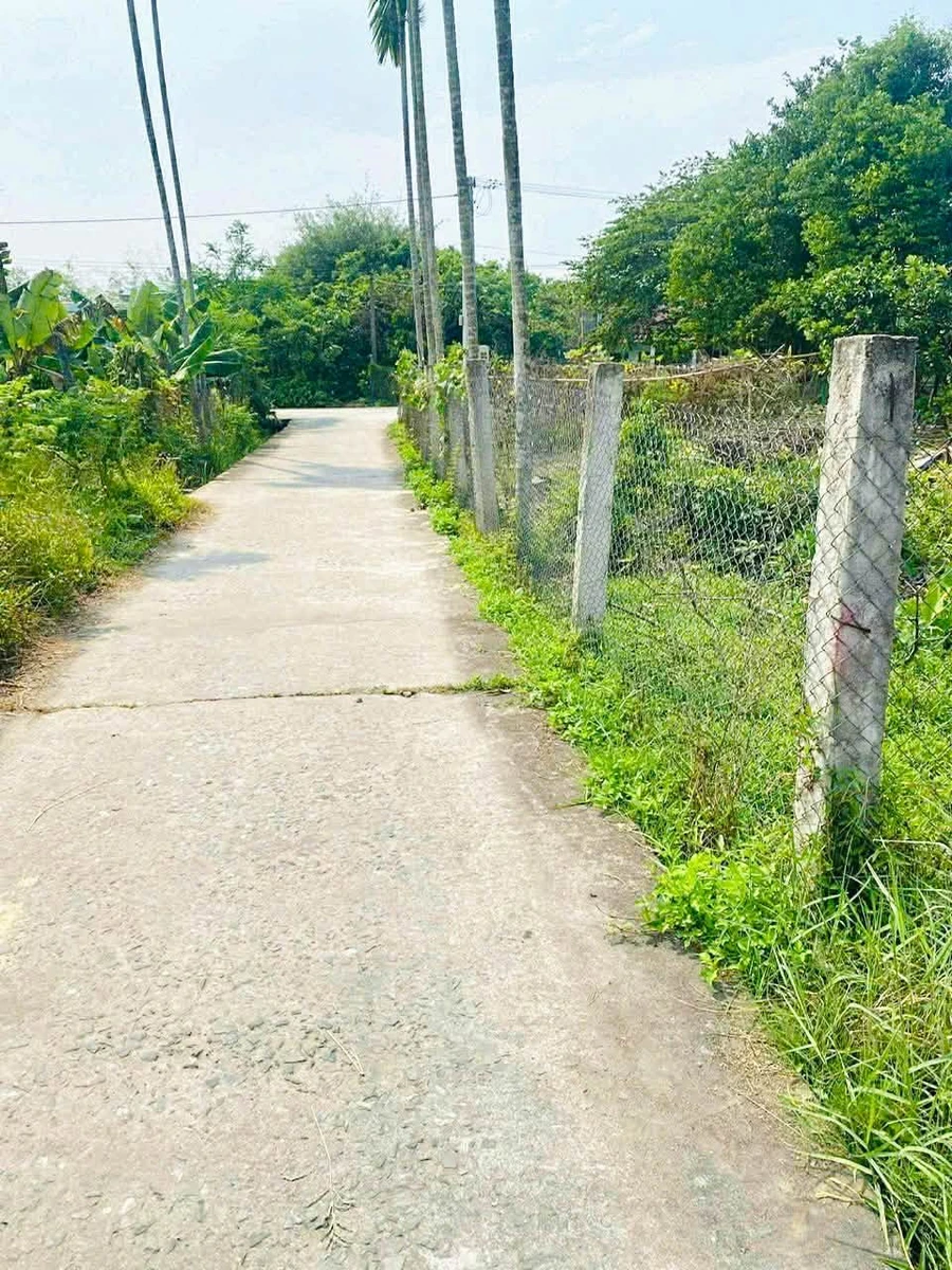 Bán lô đất 137m² Nhị Dinh 1, Điện Bàn Tây, Đà Nẵng - Ảnh thu nhỏ 2