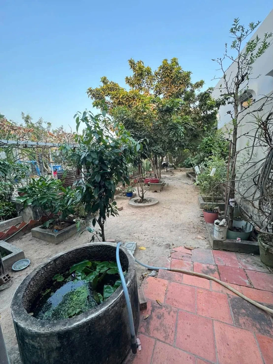 Bán đất nở hậu 6,5m Nguyễn Văn Lộng Bình Dương 1,7 tỷ - Ảnh thu nhỏ 3