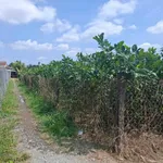 Bán đất Long Thới Chợ Lách 2.700m² giá 463 tr/công - Ảnh thu nhỏ 3