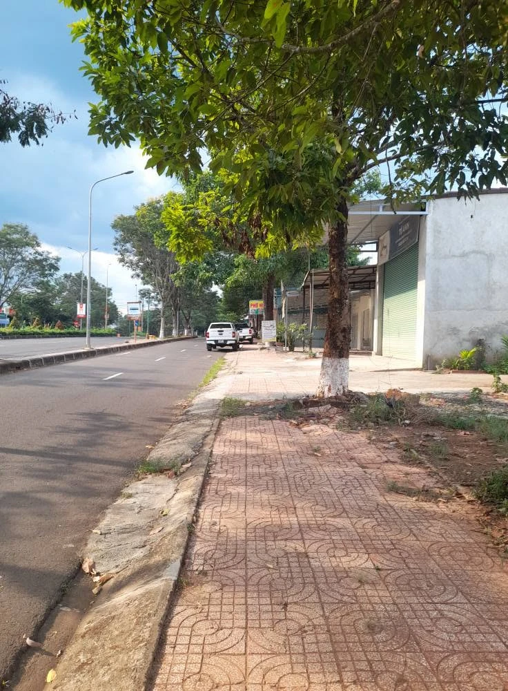 Bán đất mặt đường Nguyễn Tất Thành 240m² tại Lâm Đồng - Ảnh thu nhỏ 3