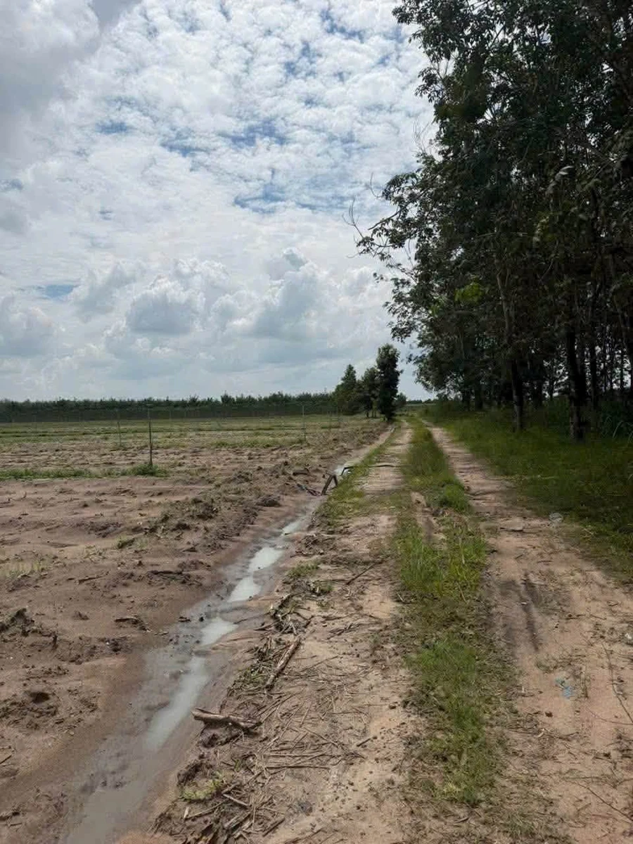 Bán 42000m² đất mặt tiền 389m tại Tây Ninh - Ảnh 1