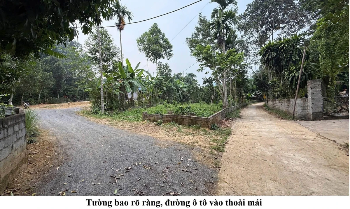 Bán đất 983m² (850m² đất ở) Kim Bôi, giá hơn 1 tỷ - Ảnh thu nhỏ 4