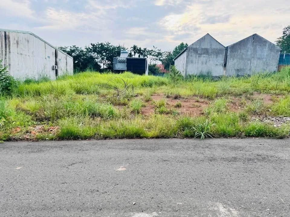 Bán đất Tân Xuân, Hóc Môn, 130m² giá 5,5 tỷ - Ảnh 1