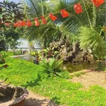 Bán nhà vườn 2957m2 đang kinh doanh homestay Buôn Ma Thuột 13.9 tỷ - Ảnh thu nhỏ 2
