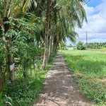 Bán nền đất 168.9m² Phường Phú Tân, Bến Tre - 500 triệu - Ảnh thu nhỏ 4
