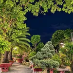 Bán đất biệt thự 460m² đường Dương Quảng Hàm, Phường 6, Gò Vấp - 47 tỷ - Ảnh thu nhỏ 2