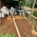 Bán đất 1 mẫu 8 vườn sầu riêng Cẩm Mỹ 11 tỷ - Ảnh thu nhỏ 3