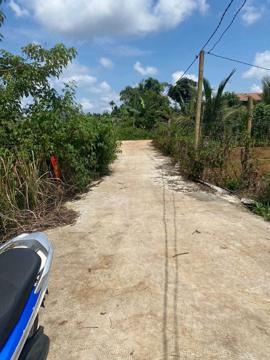 Bán đất gần 3 sào giá 600 triệu/sào Thủ Đức - Ảnh thu nhỏ 3