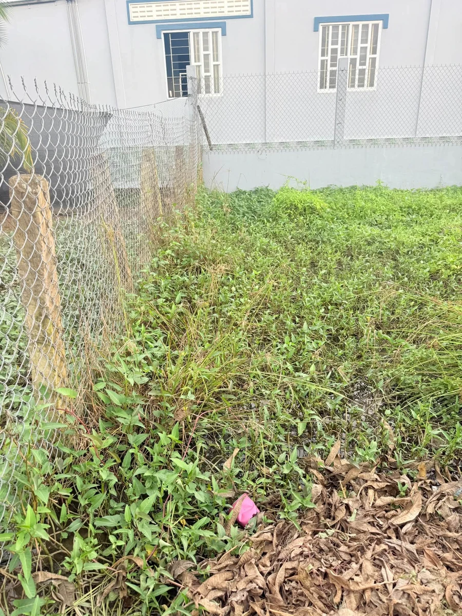 Bán lô đất thổ cư mặt tiền 120m² gần chợ Cầu Vuông - Ảnh thu nhỏ 5