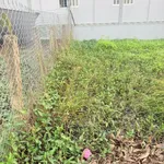 Bán lô đất thổ cư mặt tiền 120m² gần chợ Cầu Vuông - Ảnh thu nhỏ 5