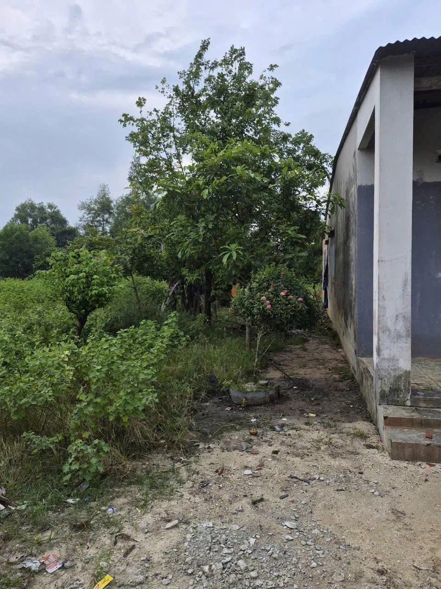 Bán nhà cấp 4 8x42 (336m²) Châu Thành, Tây Ninh 400 triệu - Ảnh thu nhỏ 3