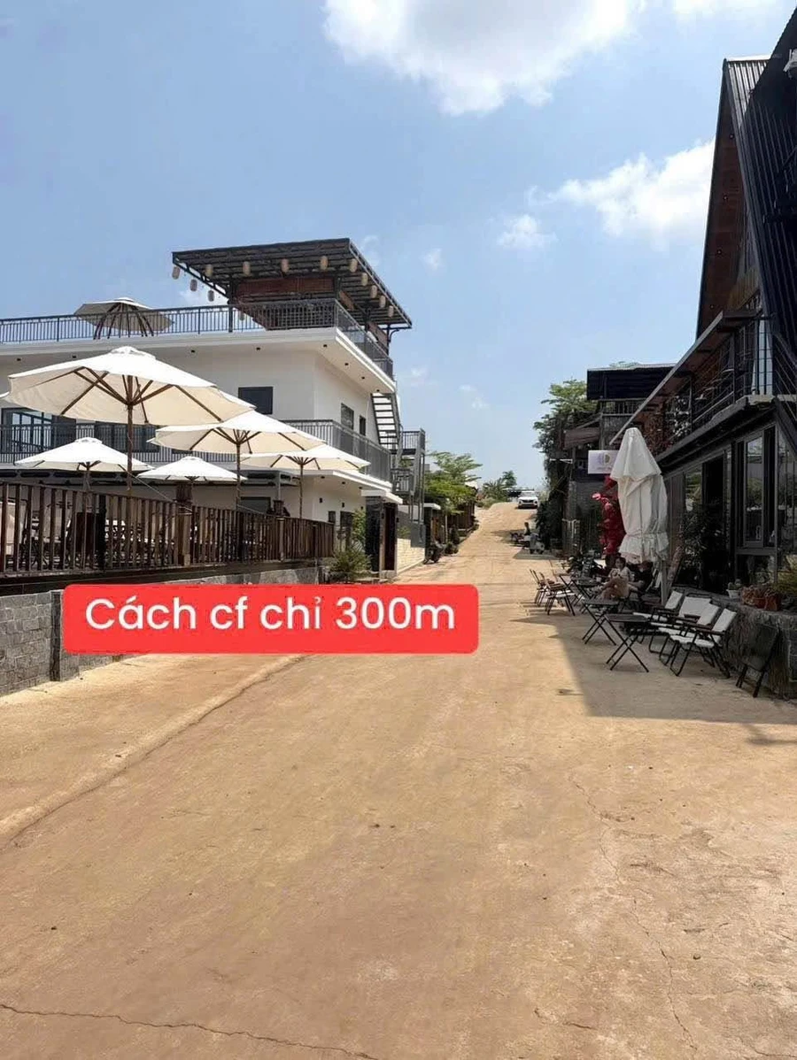 Bán đất sào đồi Hoàng Hôn, 525m², 1 tỷ 650, Hóc Môn - Ảnh thu nhỏ 2