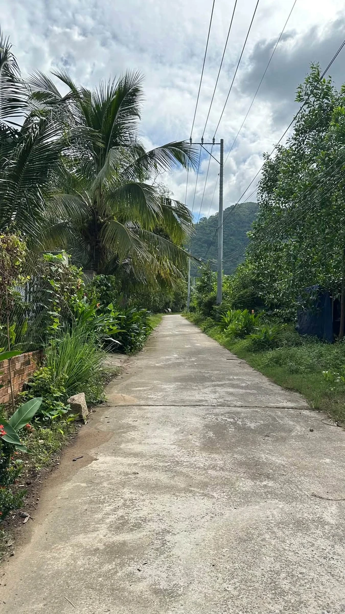 Bán đất full thổ cư 175m² view núi Chứa Chan, Đồng Nai, 600 triệu - Ảnh thu nhỏ 2
