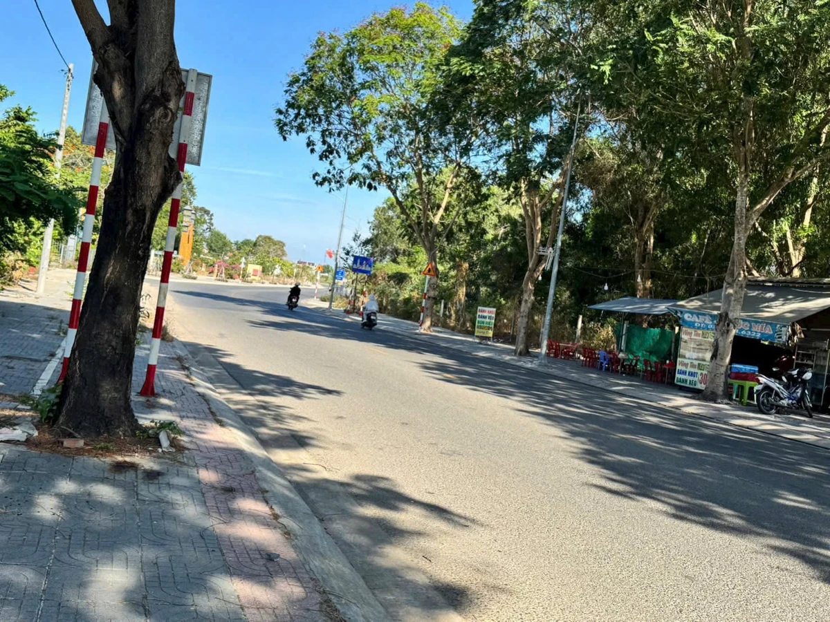 Bán đất mặt tiền kinh doanh 522m² Bà Rịa - Ảnh thu nhỏ 3