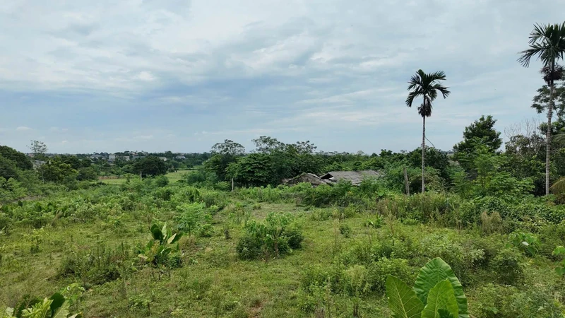 Bán đất 2.325m² thổ cư 2.000m² mặt tiền 40m Phú Cát Hà Nội