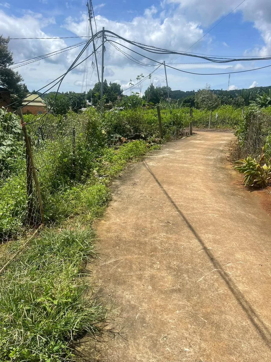 Bán đất 3.2 sào có 400m² thổ cư, mặt tiền 40m tại Mê Linh, Lâm Hà, Lâm Đồng - Ảnh thu nhỏ 2