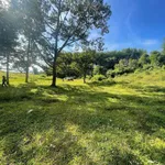 Đất view hồ Ea Nhái 4000m2 xã Cuôr Đăng - Ảnh thu nhỏ 4