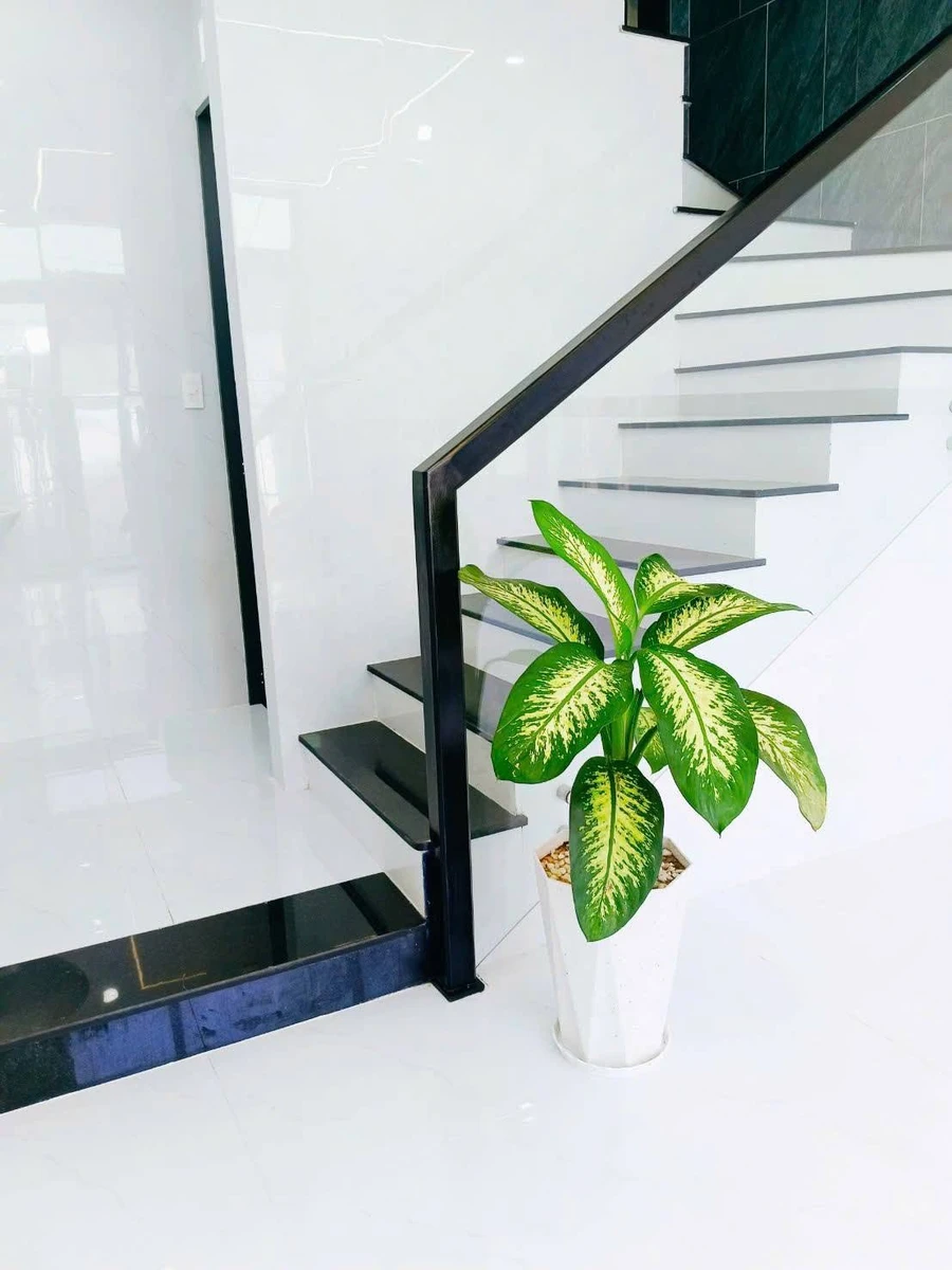 Bán nhà phố 3.5 tầng 105m² mặt tiền Quy Nhơn - Ảnh thu nhỏ 4