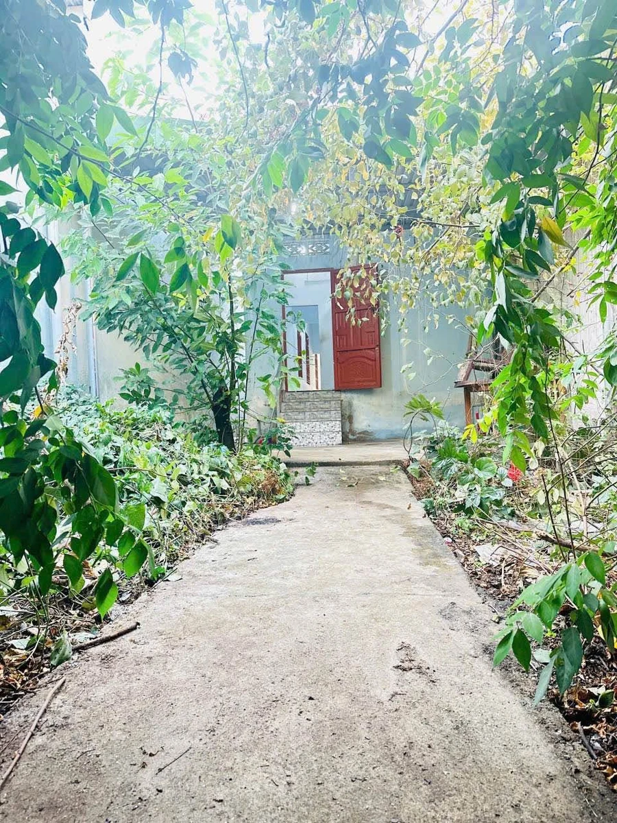 Bán nhà cấp 4 sổ riêng thổ cư 190m2 gần chợ 26, P. Tân Phong, Biên Hòa - Ảnh thu nhỏ 4