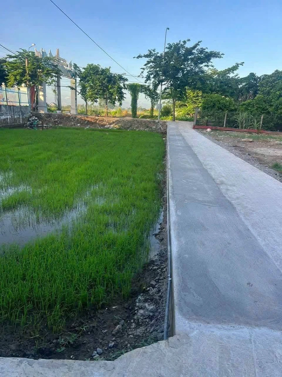 Bán đất thổ cư Long Hoà, Cần Dước 72-75m², 800 triệu/lô - Ảnh thu nhỏ 3