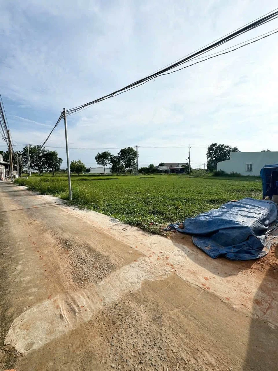 Bán đất thổ cư 130m2 gần Ngô Đức Tốn, Phong Nẫm - Ảnh thu nhỏ 5