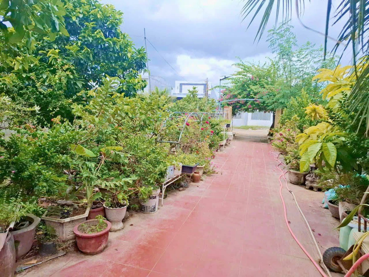 Bán nhà vườn Long Bình Phan Rang Khánh Hòa 4300m2 5 tỷ - Ảnh thu nhỏ 2