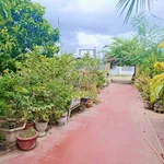 Bán nhà vườn Long Bình Phan Rang Khánh Hòa 4300m2 5 tỷ - Ảnh thu nhỏ 2