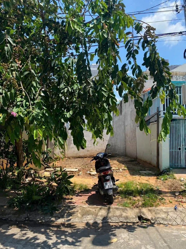 Bán lô đất 106m² mặt tiền Nguyễn Trọng Lội, Lâm Đồng