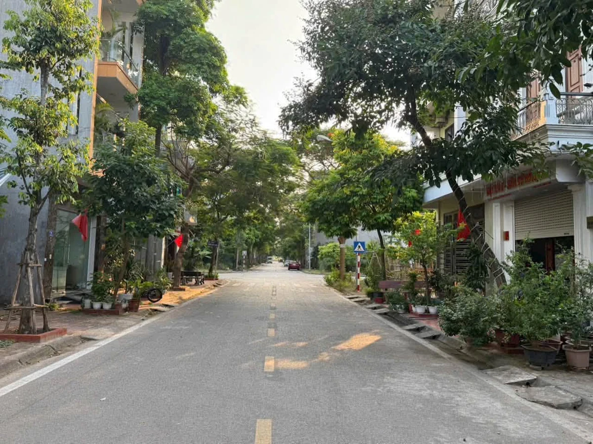 Bán lô đất mặt đường Lê Văn Hưu 74.25 m² Bình Chánh - Ảnh thu nhỏ 2
