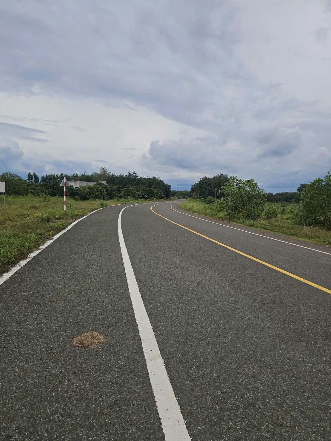 Bán đất mặt tiền đường Thanh Niên 32m, Bình Chánh, 17000 m² - Ảnh 1