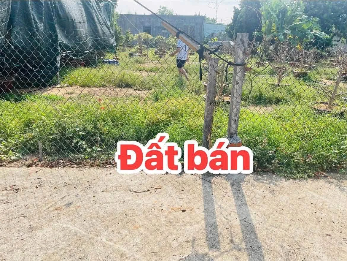 Bán lô đất 112m² Hoà Long Bà Rịa, 1 tỷ 295 - Ảnh thu nhỏ 2