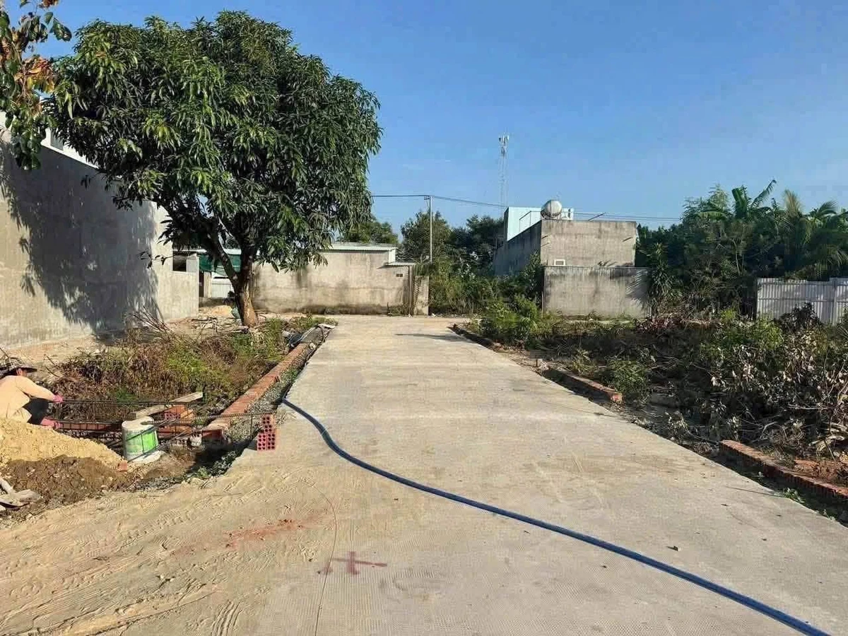 Bán đất thổ cư Long Hải 99m² sổ hồng - Ảnh thu nhỏ 2
