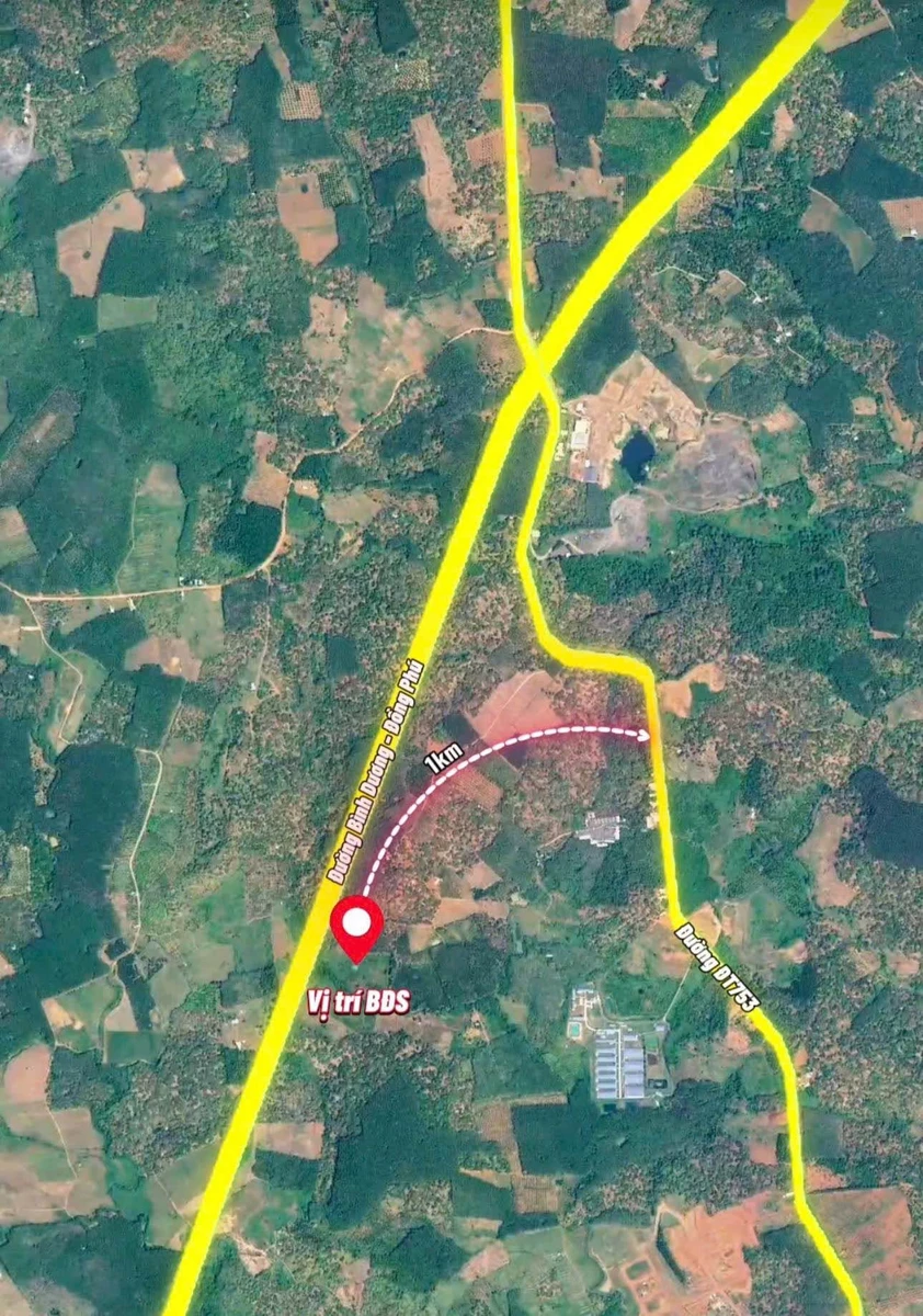Bán đất mặt tiền Tạo Lực 1,5ha Tân Lợi Đồng Phú - Ảnh thu nhỏ 2