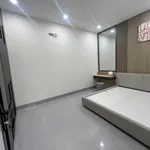 Bán nhà mới 100m2 2PN Bình Chánh gần Ecopalace - Ảnh thu nhỏ 4