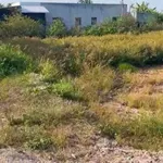 Bán đất 5x26m giá 258 triệu, xã Hưng Thạnh, Tân Phước, Tiền Giang - Ảnh thu nhỏ 2