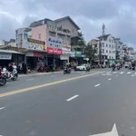 Bán quỹ đất 2.300m² mặt tiền Xô Viết Nghệ Tĩnh, Đà Lạt 165 tỷ - Ảnh thu nhỏ 2