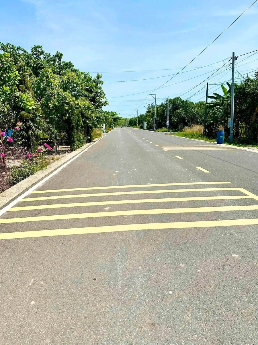 Bán đất thổ cư 12.600m² mặt tiền đường Đồng Nai hơn 1 tỷ - Ảnh 1